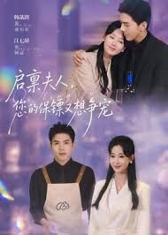 启禀夫人，您的保镖又想争宠海报
