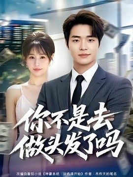 你不是去做头发了吗海报