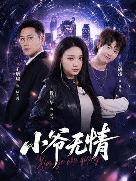 小爷无情海报