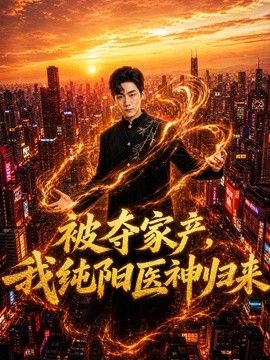 被夺家产，我纯阳医神归来海报