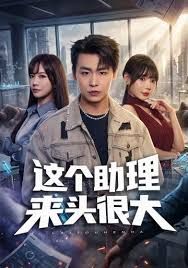 这个助理来头很大海报