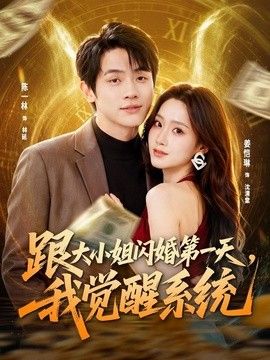 跟大小姐闪婚第一天，我觉醒系统海报