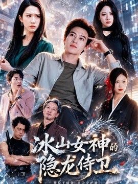 冰山女神的隐龙侍卫海报