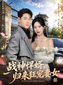 战神悍婿，归来狂宠妻女海报