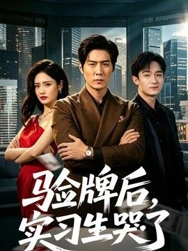 验牌后，实习生哭了海报