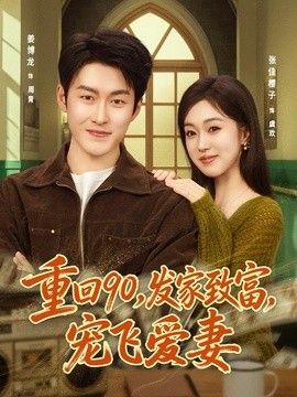 重回90，发家致富，宠飞爱妻海报
