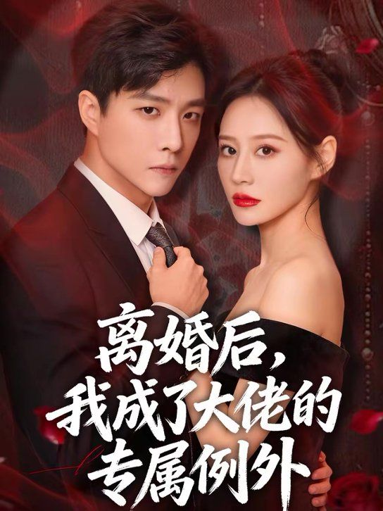 离婚后，我成了大佬的专属例外海报