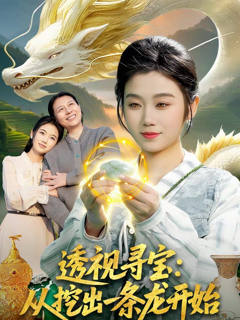 透视寻宝：从挖出一条龙开始海报
