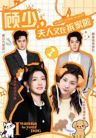 顾少，夫人又在拆家啦海报