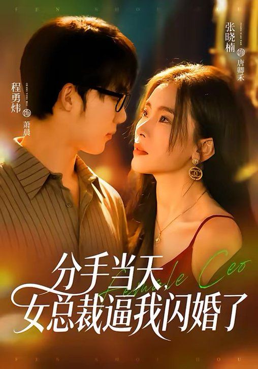 分手当天，女总裁逼我闪婚了海报
