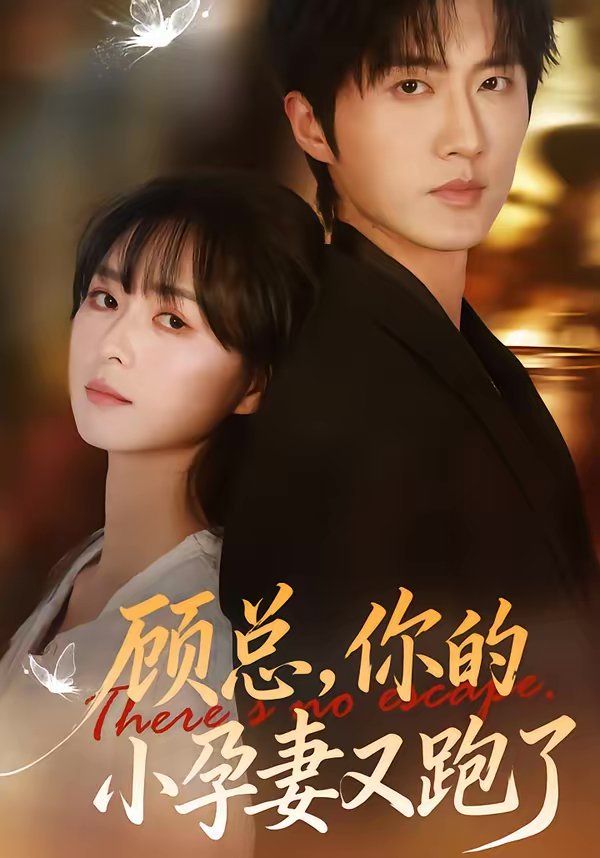 顾总，你的小孕妻又跑了海报