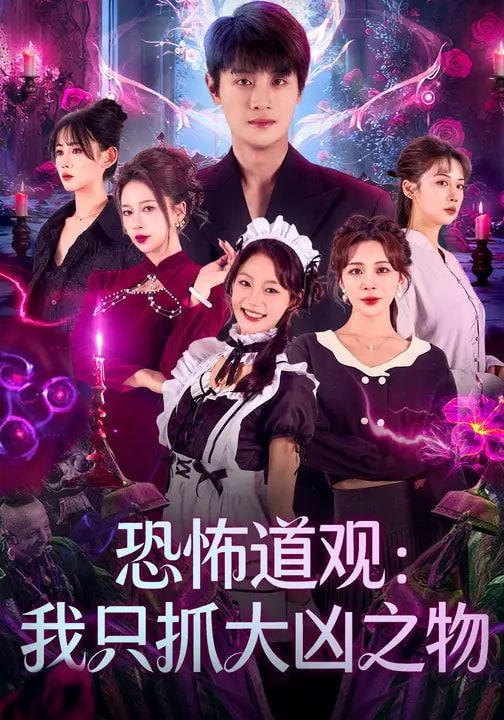 恐怖道观：我只抓大凶之物海报