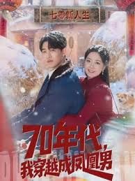70年代，我穿越成凤凰男海报