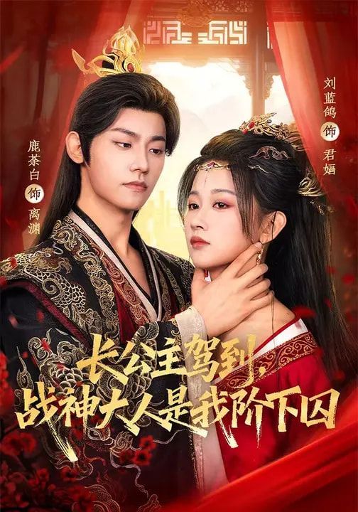 长公主驾到，战神大人是我阶下囚海报
