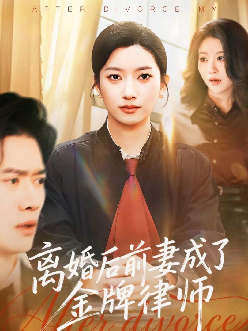 离婚后前妻成了金牌律师海报