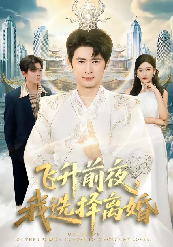 飞升前夜，我选择离婚海报