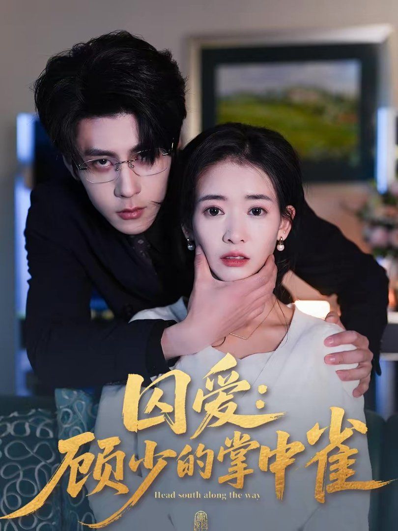 囚爱：顾少的掌中雀海报