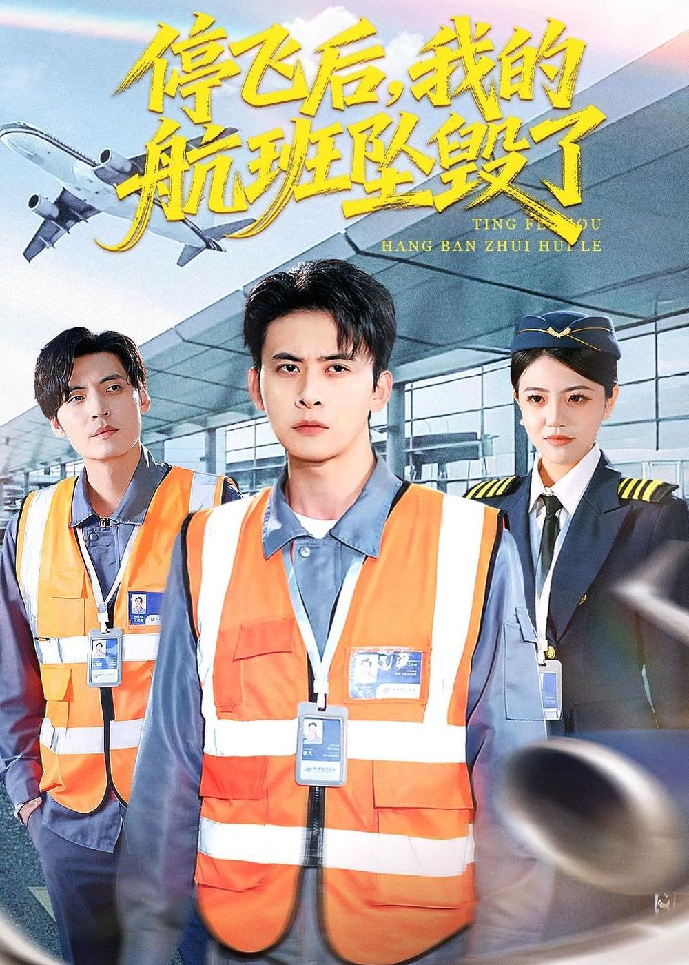 停飞后，我的航班坠毁了海报