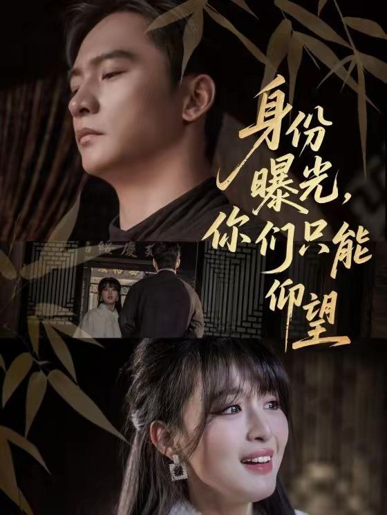 身份曝光，你们只能仰望海报