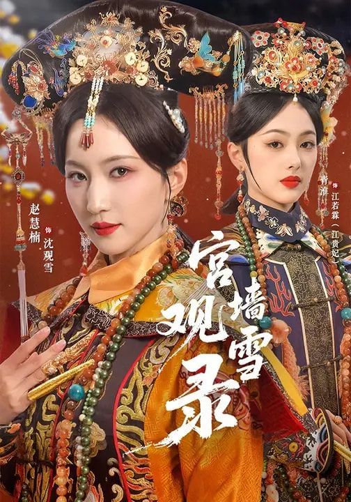 宫墙观雪录海报