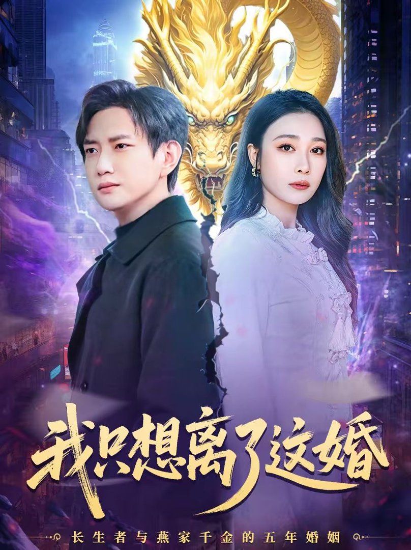 我只想离了这婚海报