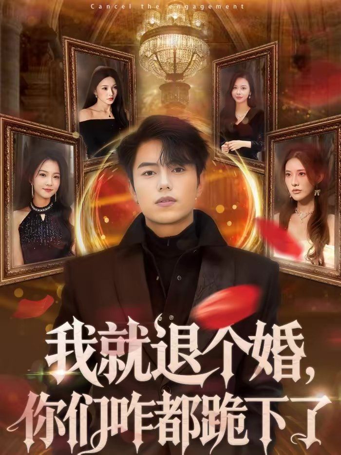 我就退个婚，你们咋都跪下了海报