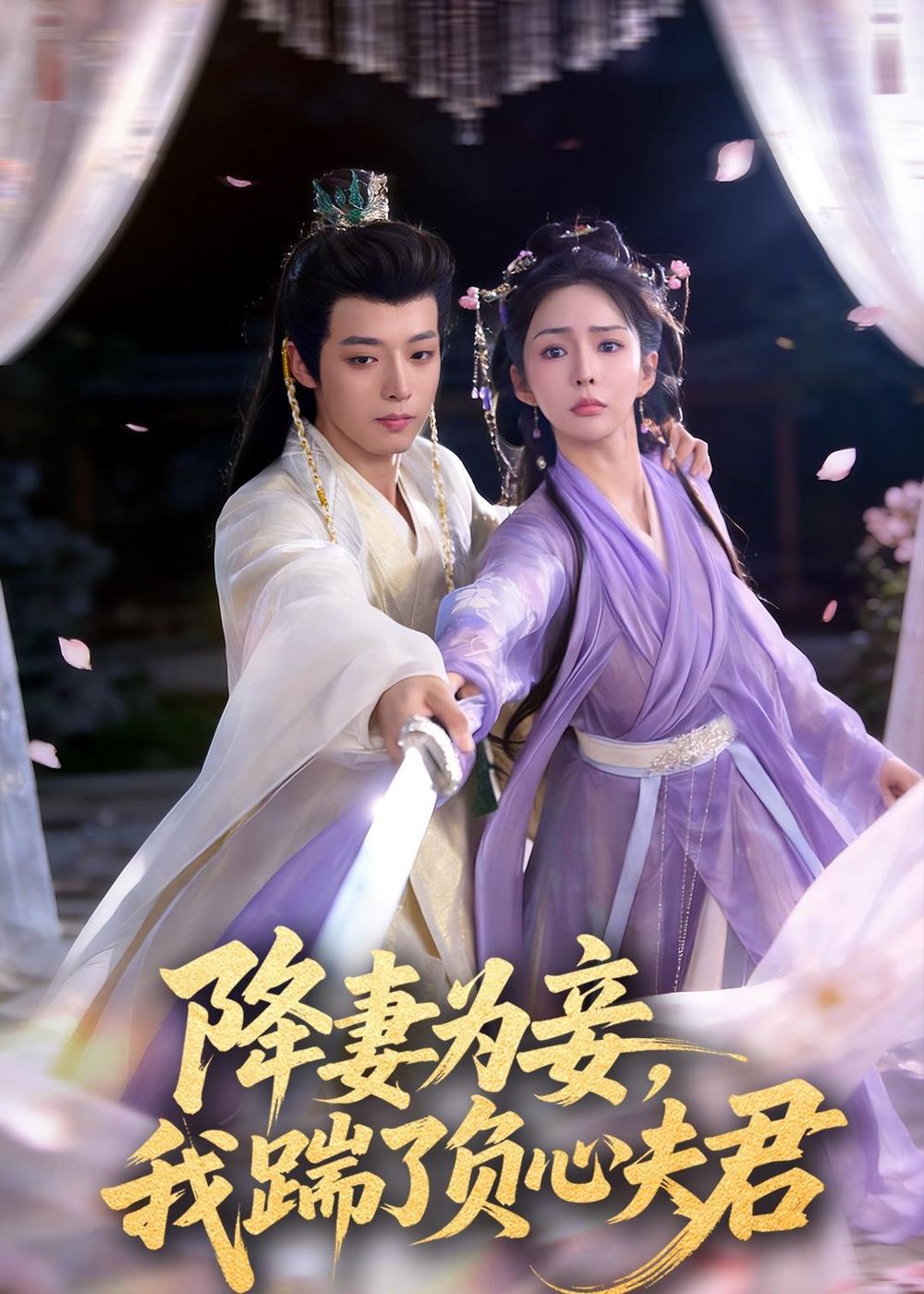降妻为妾，我踹了负心夫君海报