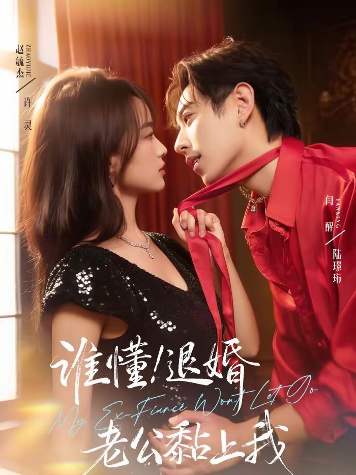 谁懂！退婚老公黏上我海报