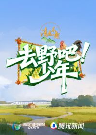 去野吧少年海报