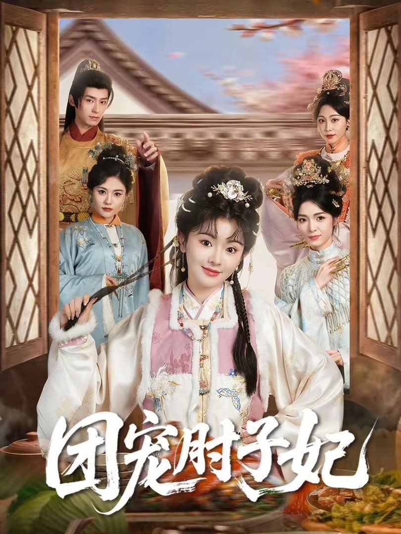 团宠肘子妃海报