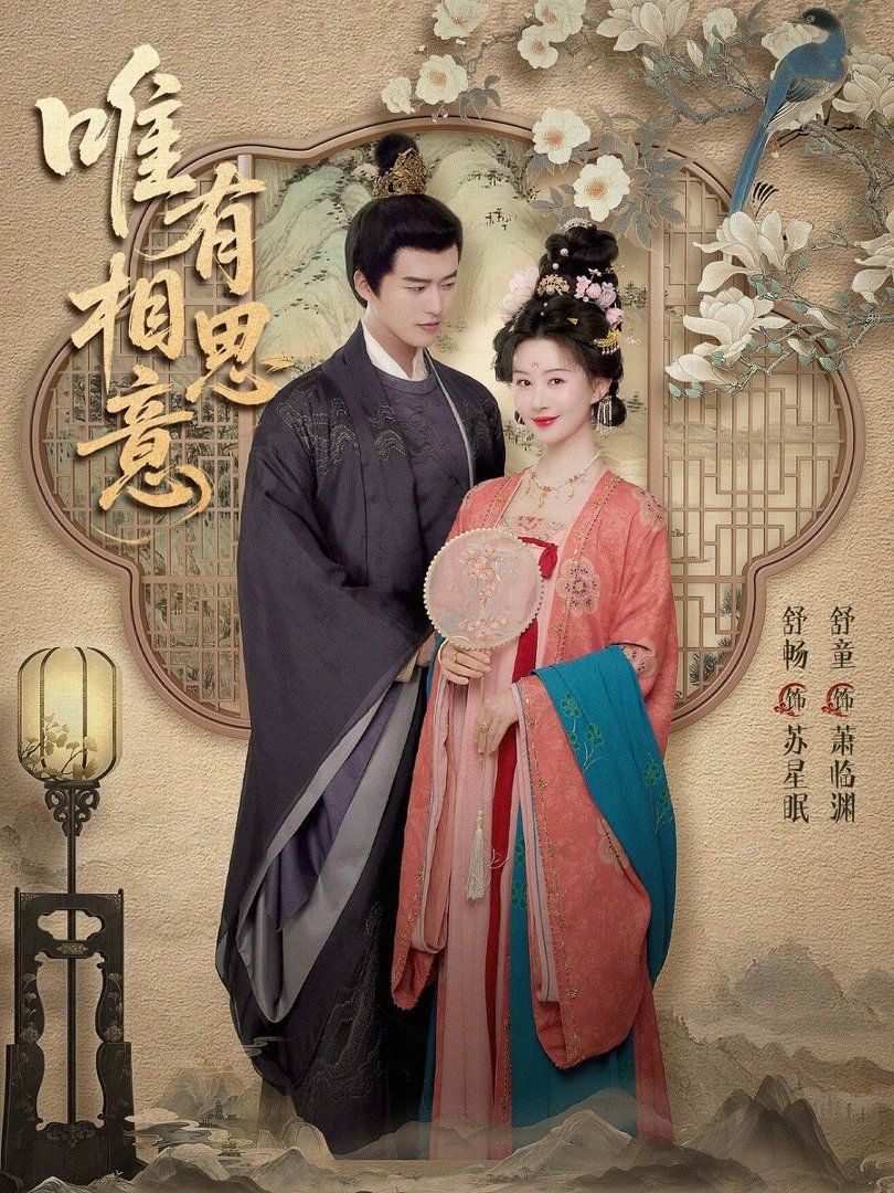 唯有相思意海报