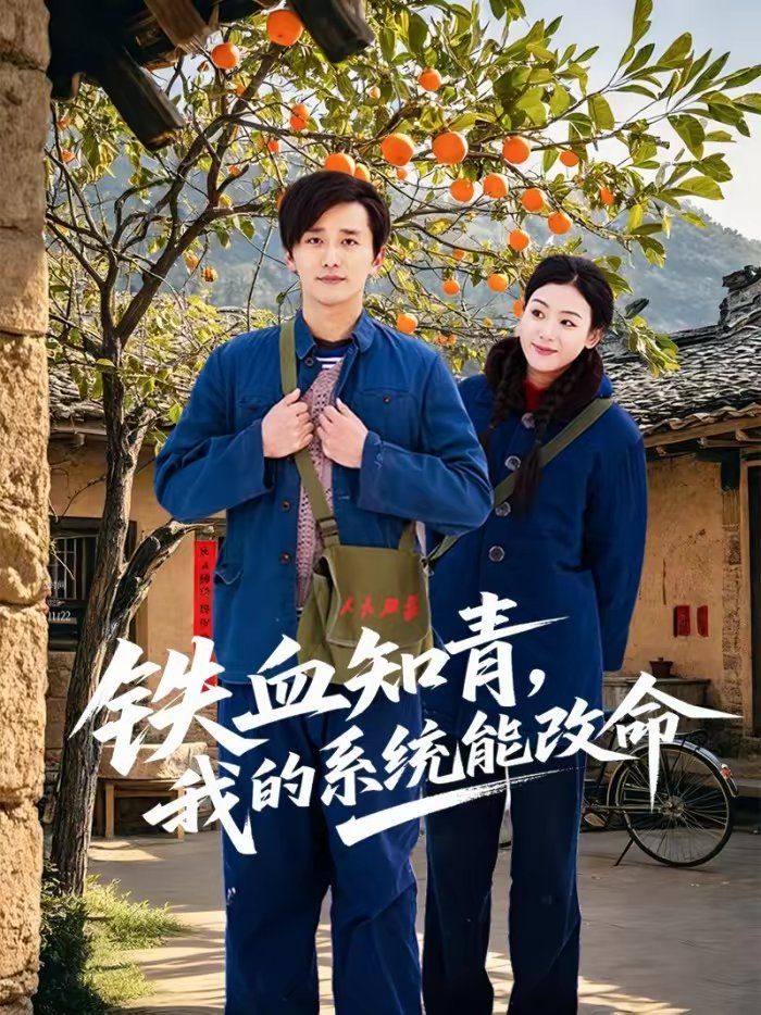 铁血知青，我的系统能改命海报