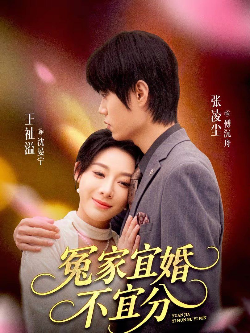 冤家宜婚不宜分海报