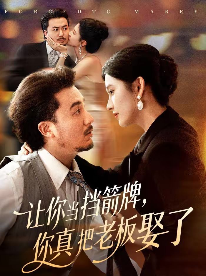 让你当挡箭牌，你真把老板娶了海报