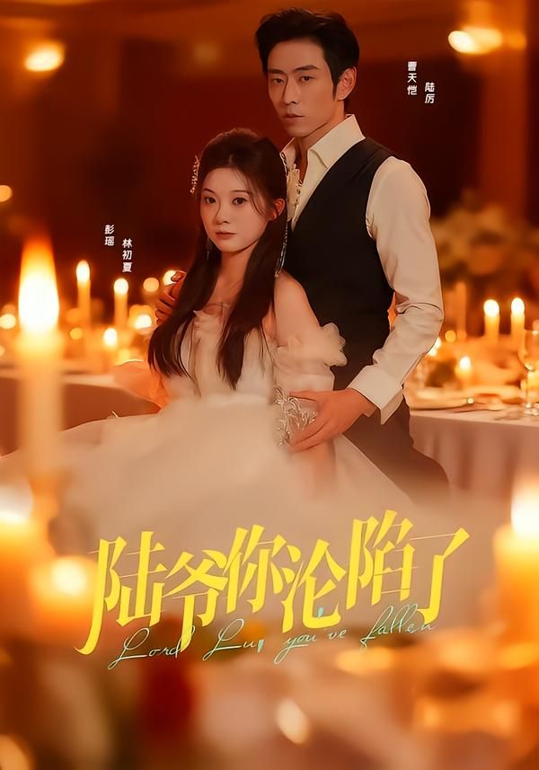 陆爷你沦陷了海报