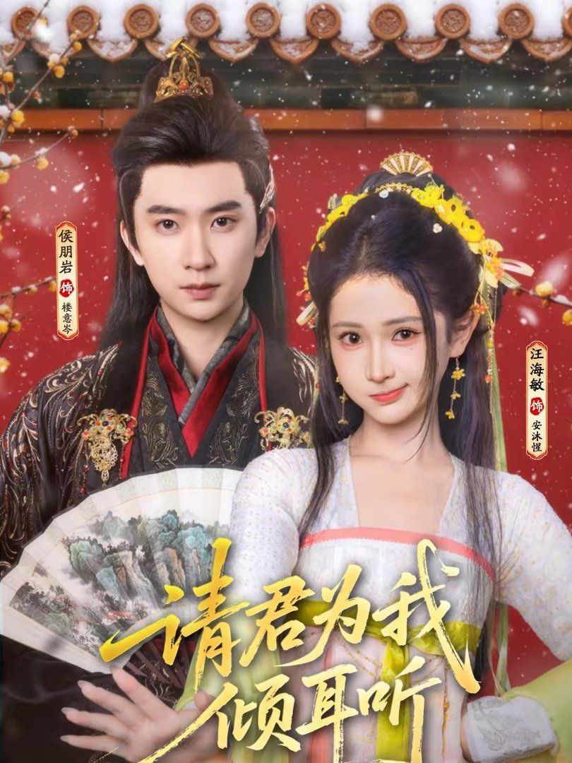 请君为我倾耳听海报