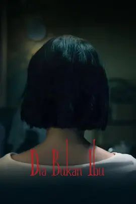 她不是我妈妈海报