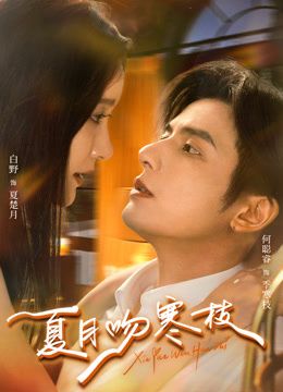 夏月吻寒枝海报