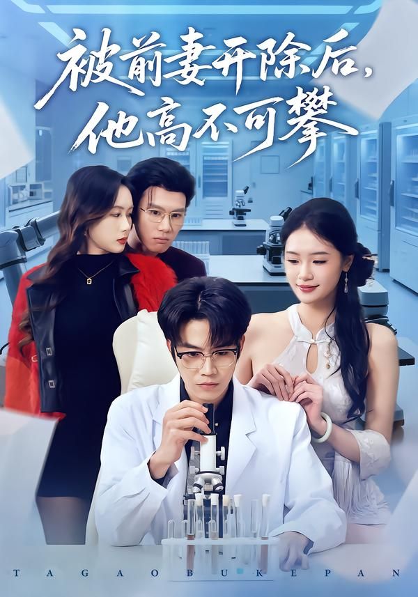 被前妻开除后，他高不可攀海报