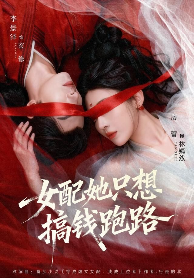 女配她只想搞钱跑路海报