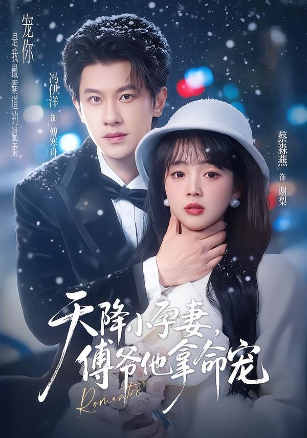 天降小孕妻，傅爷他拿命宠海报