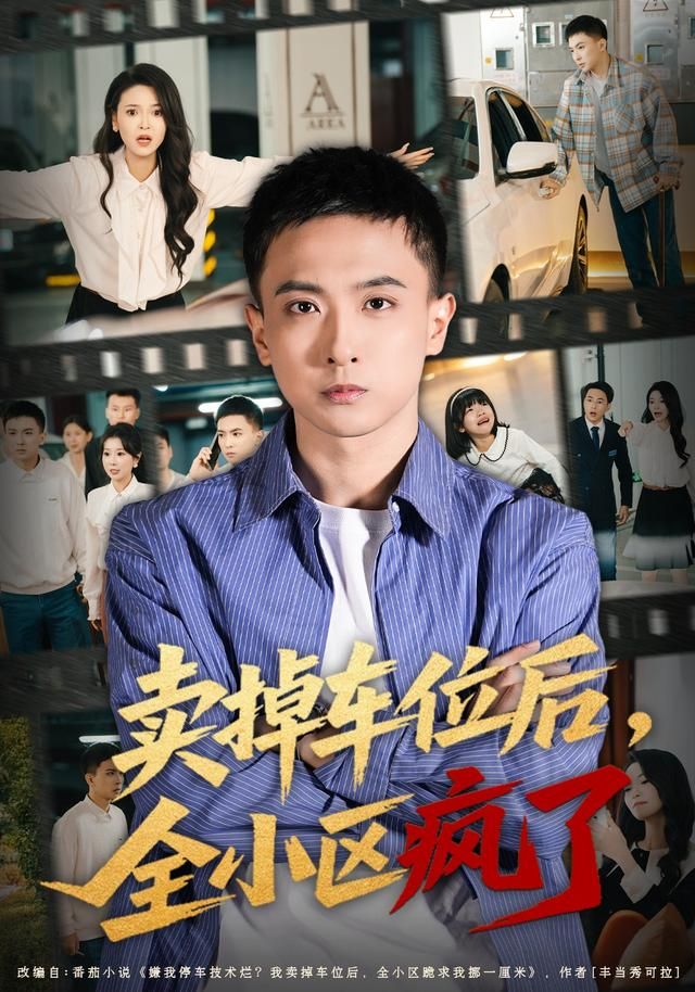 卖掉车位后，全小区疯了海报