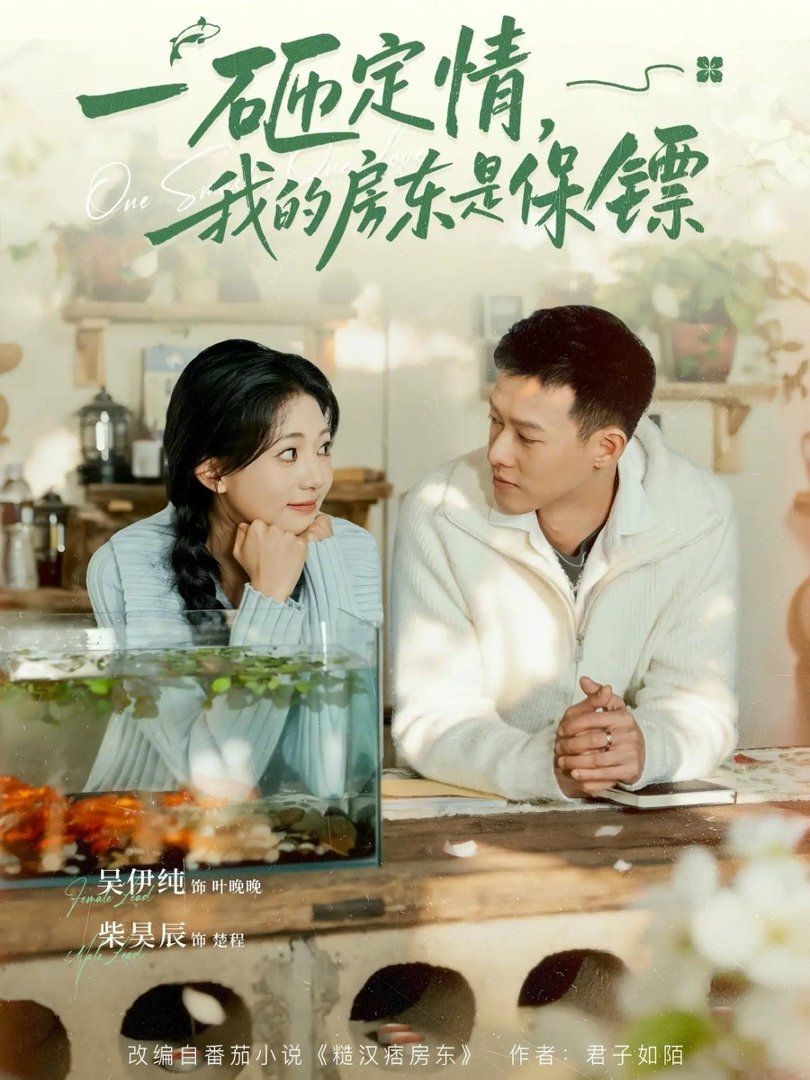 一砸定情，我的房东是保镖海报