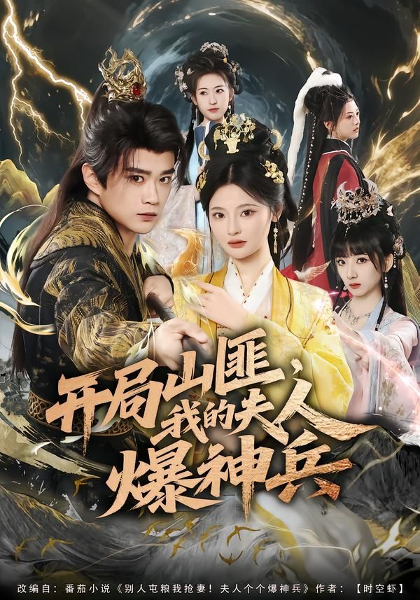 开局山匪，我的夫人爆神兵海报