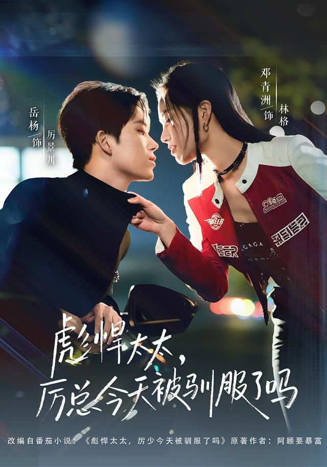 彪悍太太，厉总今天被驯服了吗海报