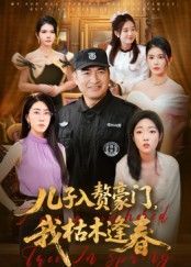 儿子入赘豪门，我枯木逢春海报