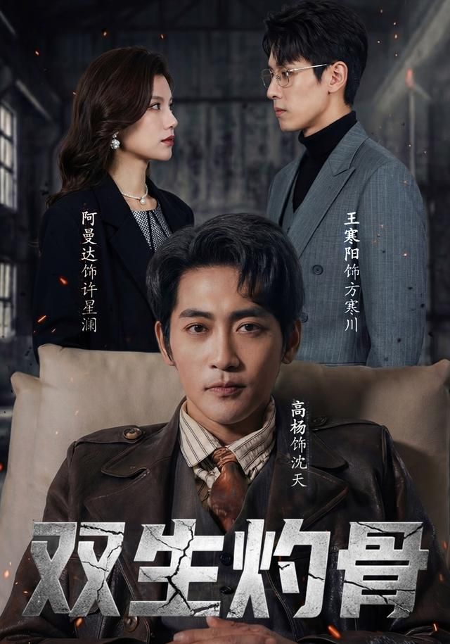 双生灼骨海报