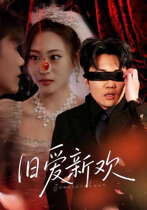 旧爱新欢海报