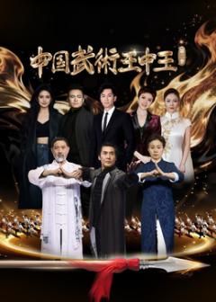 中国武术王中王第二季海报