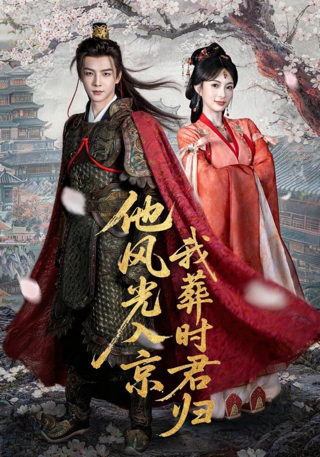 他风光入京我葬时君归海报
